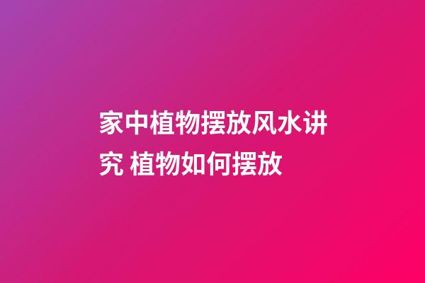 家中植物摆放风水讲究 植物如何摆放